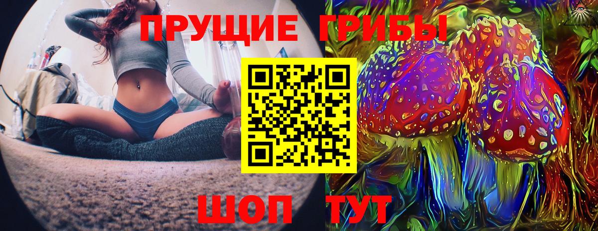 Псилоцибиновые грибы мицелий Каменск-Шахтинский