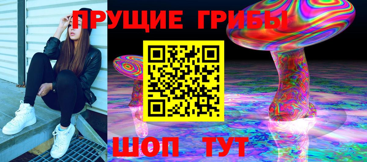 Галлюциногенные грибы Psilocybine cubensis  Псилоцибиновые грибы Psilocybine cubensis  Каменск-Шахтинский  Вход с VPN 